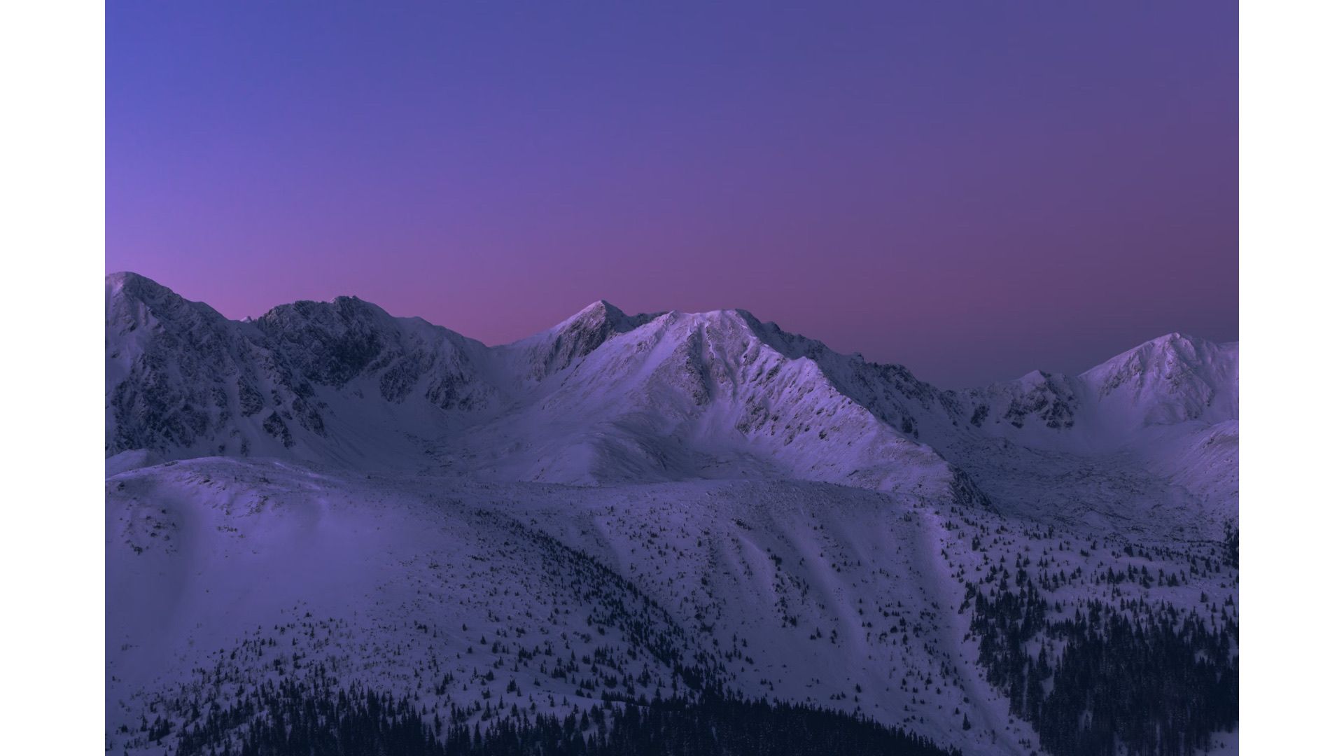Landscape 7
