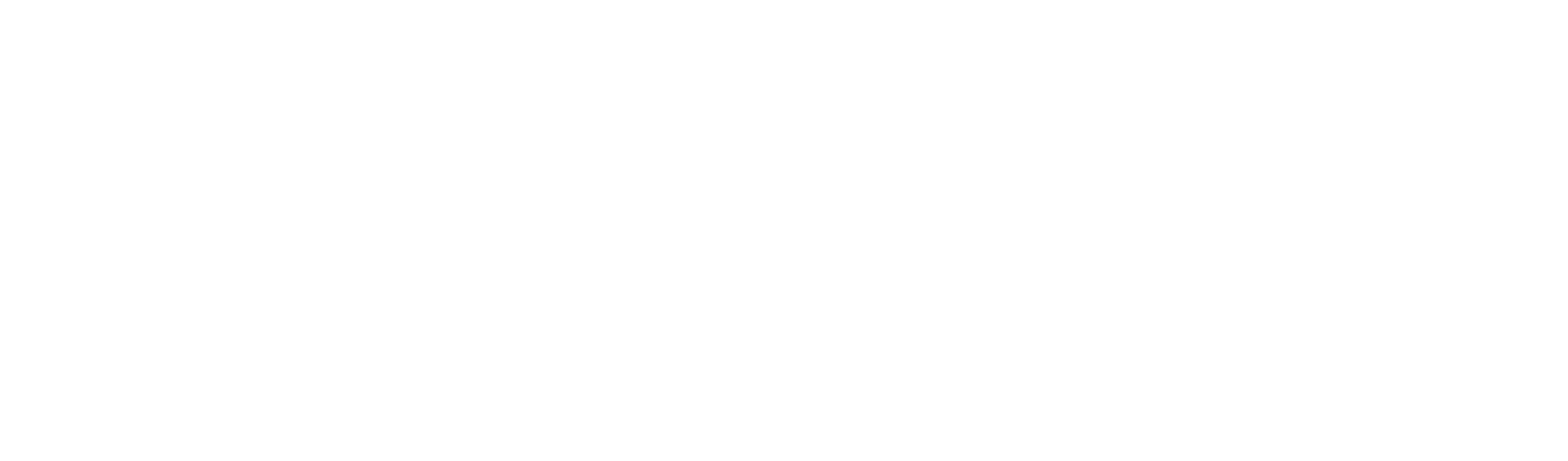 Logo Denza in Weiss