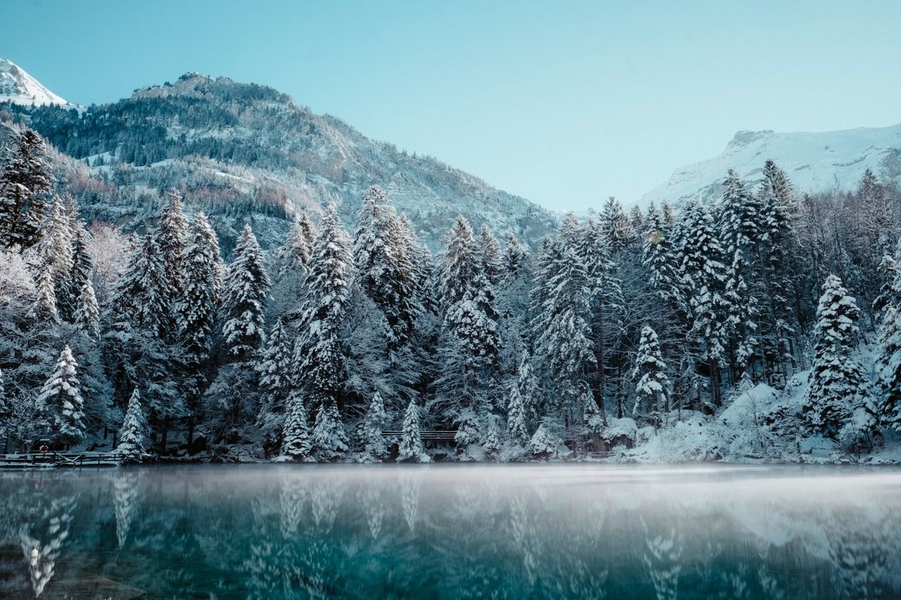 Bergige Waldlandschaft im Winter